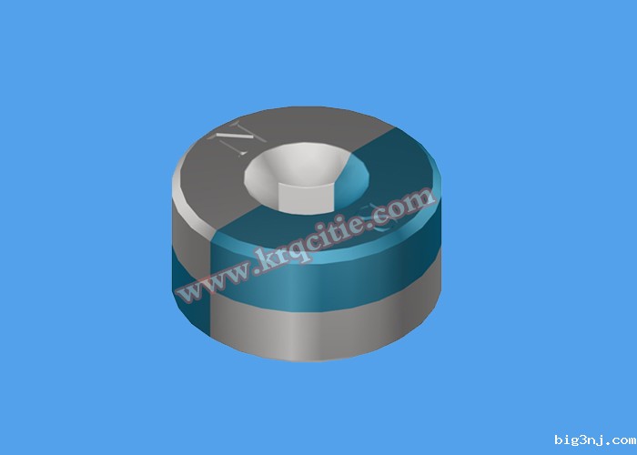 轴向2极磁环充磁示意图