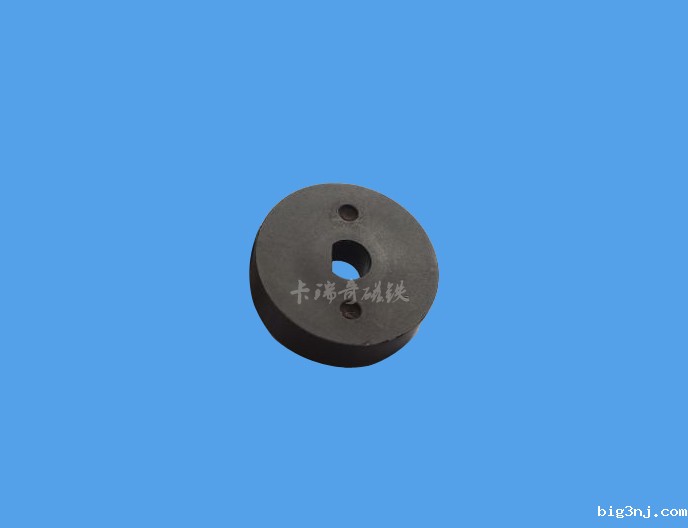 D字形内孔注塑磁环12极 6.6mm厚